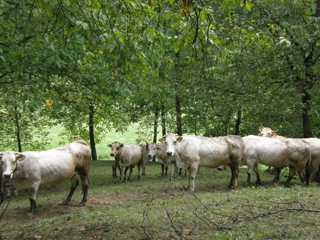 Agriturismo La Meridiana ฟราโบซาซอตตานา ภายนอก รูปภาพ
